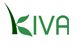 Kiva.org
